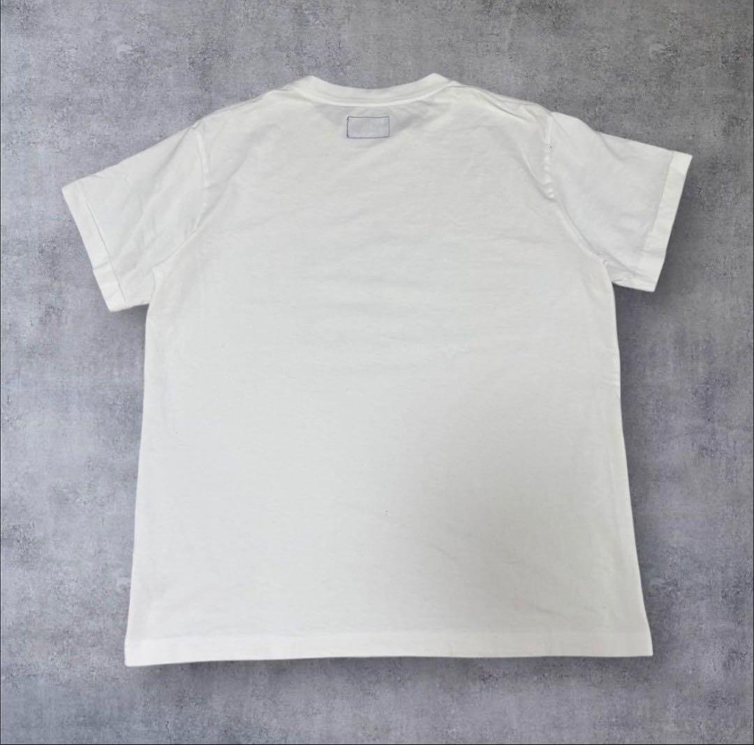 THE NORTH FACE PURPLE LABEL Tシャツ