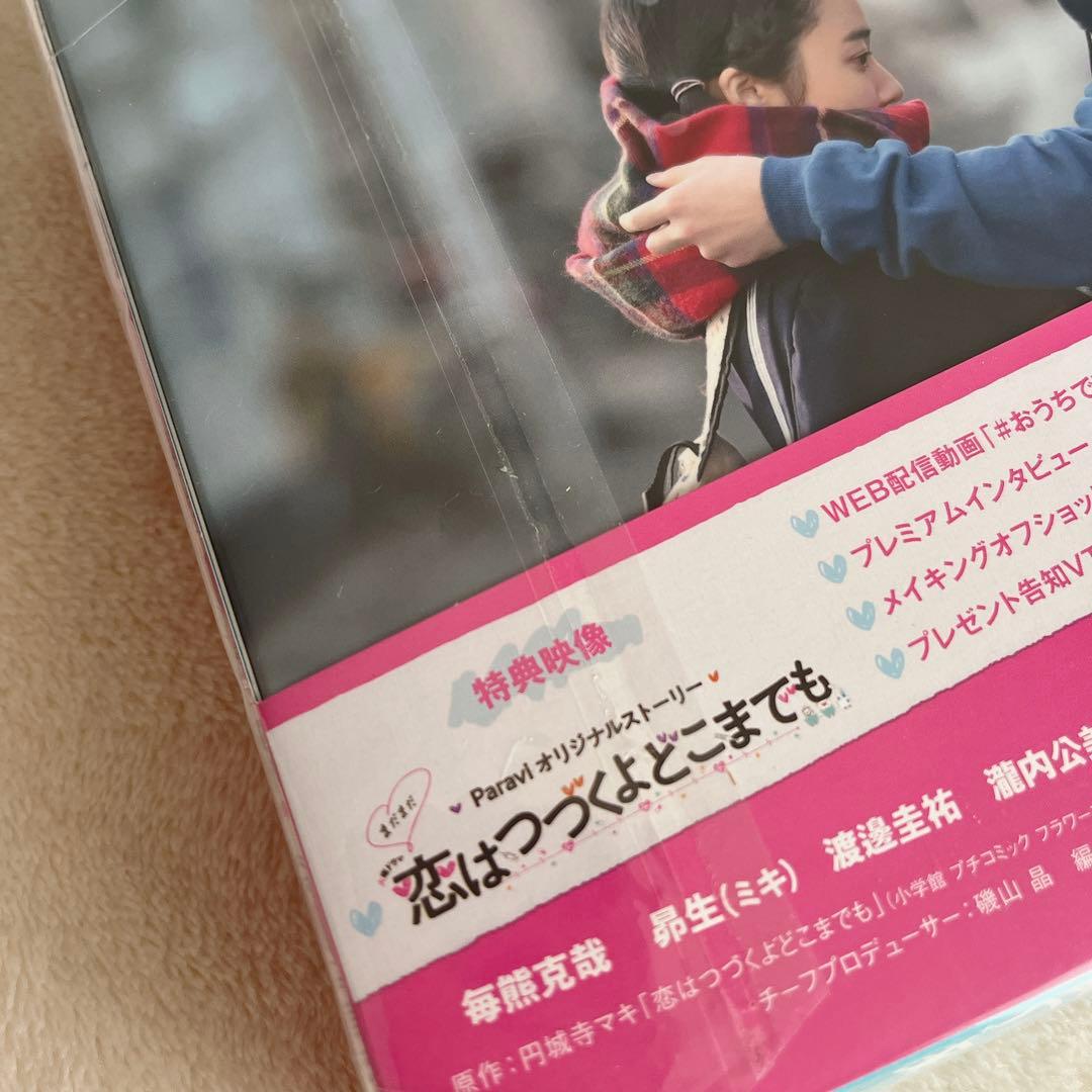 ★セット品★【DVD】恋はつづくよどこまでも 佐藤健アニバーサリーブック