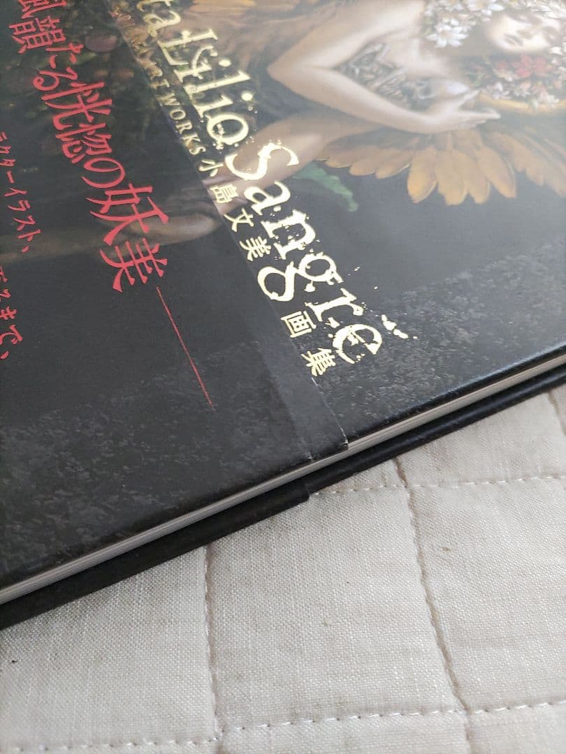 小島文美 画集 Santa Lilio Sangre 緋いユリ
