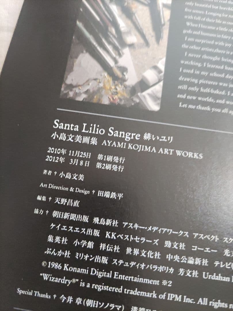 小島文美 画集 Santa Lilio Sangre 緋いユリ
