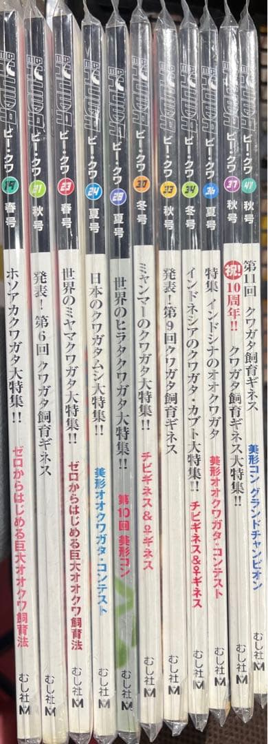 BEKUWA11冊