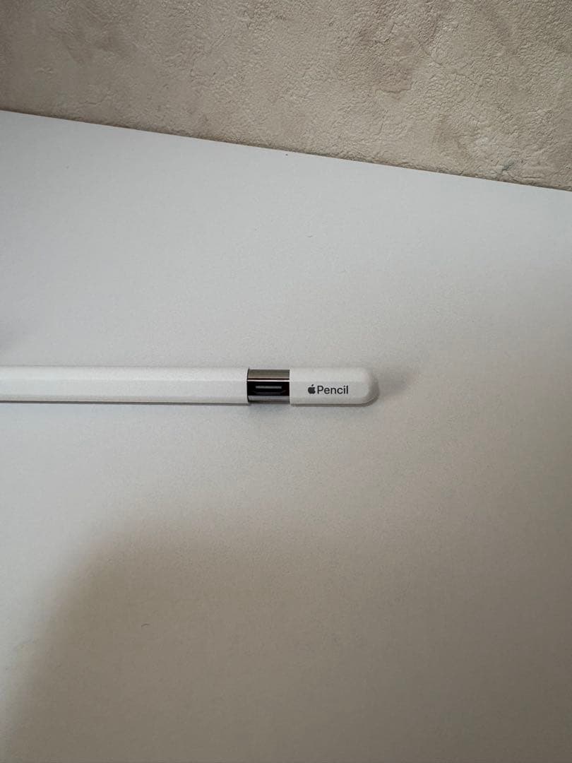 Apple Pencil USB-C 美品