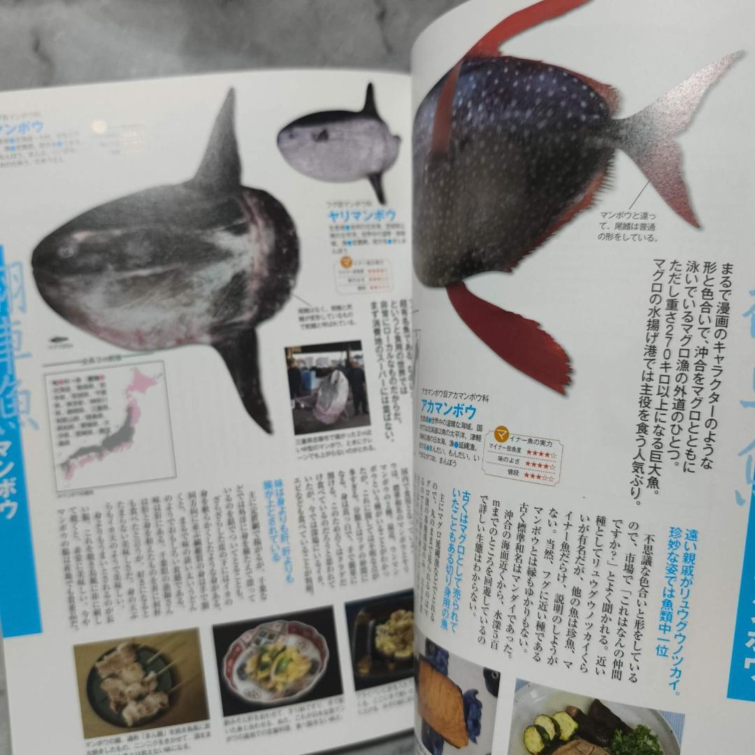 美味しいマイナー魚介図鑑★ぼうずコンニャク 藤原昌高 マイナビ