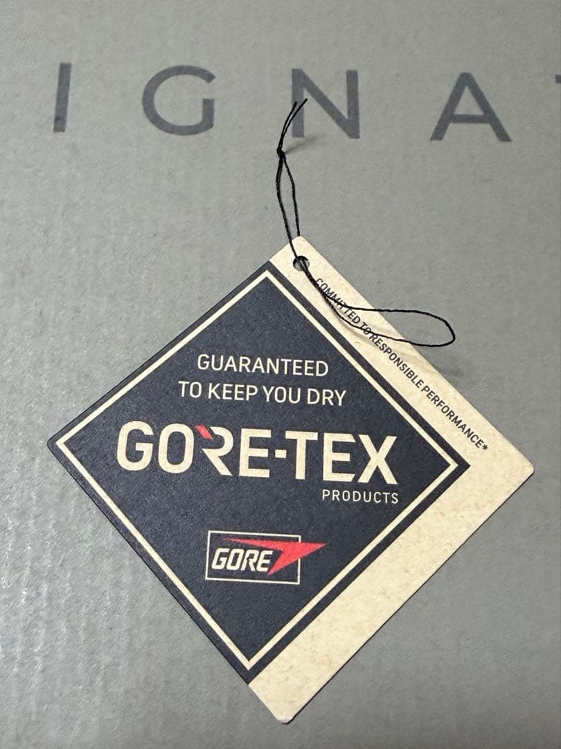 【着用1回‼️】clarks walabee GORE-TEX UK10