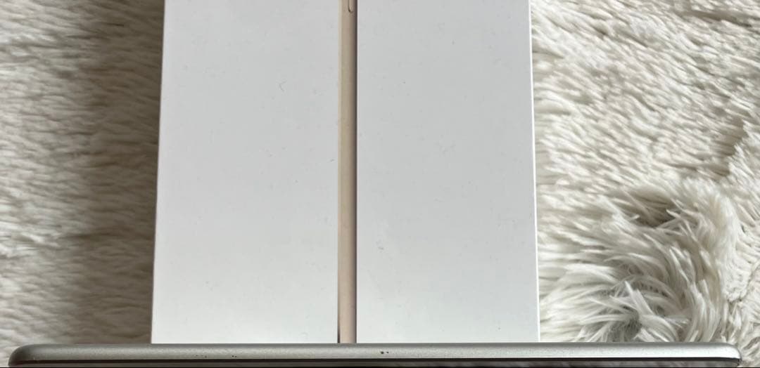 【ラスト1台】iPad mini5 64GB 【すぐ発送】【付属品】