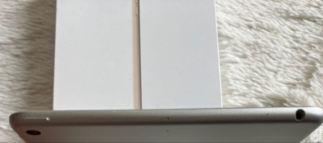 【ラスト1台】iPad mini5 64GB 【すぐ発送】【付属品】