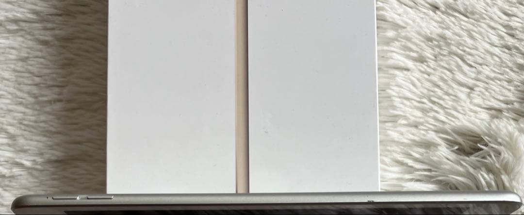 【ラスト1台】iPad mini5 64GB 【すぐ発送】【付属品】