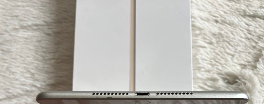 【ラスト1台】iPad mini5 64GB 【すぐ発送】【付属品】