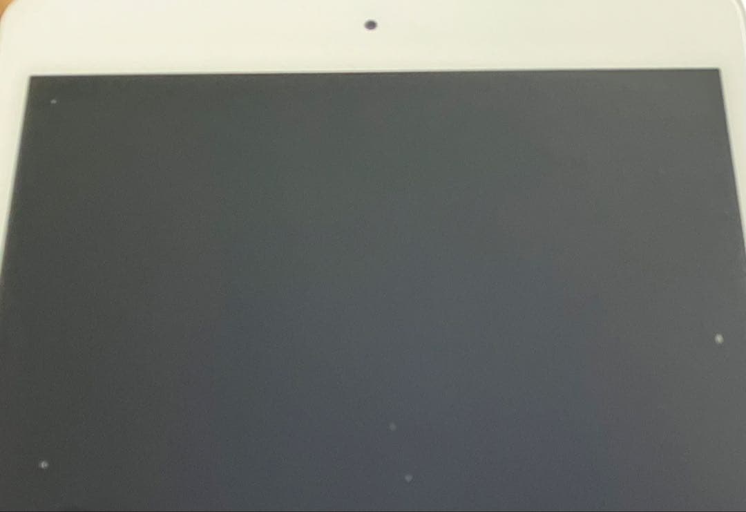 【ラスト1台】iPad mini5 64GB 【すぐ発送】【付属品】