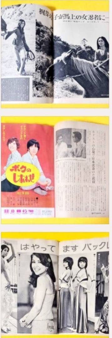 昭和48年1973年発刊TVガイド桜田淳子レッドバロンミキのり平はらたいら漫画