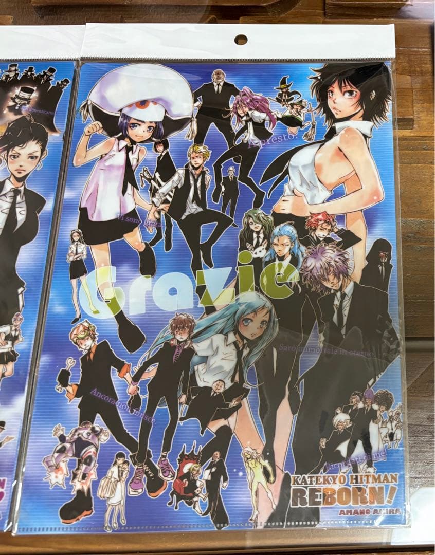 家庭教師ヒットマンREBORN! クリアファイル 2枚セット　原作