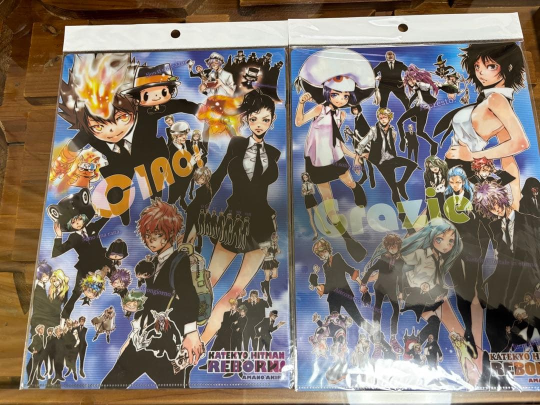 家庭教師ヒットマンREBORN! クリアファイル 2枚セット　原作