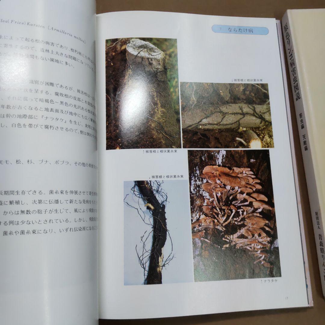 原色リンゴ病害虫図説　２冊まとめ売り