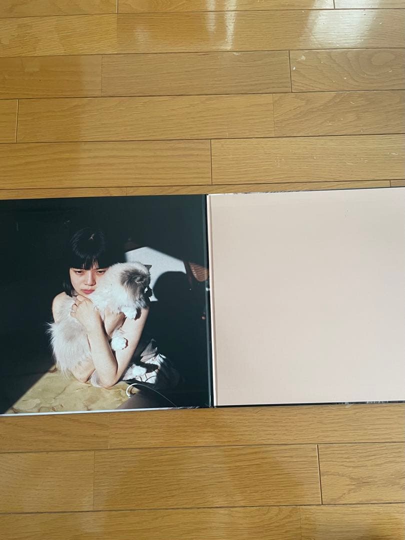 カネコアヤノ　燦々　レコード　重量盤