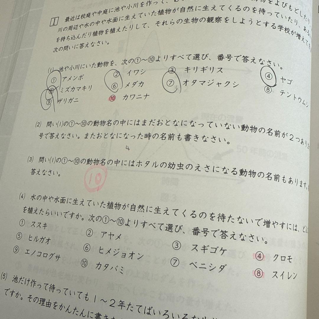 浜学園　最難関女子　日曜志望校特訓問題集 9月　10月　神女　高槻　四天王寺