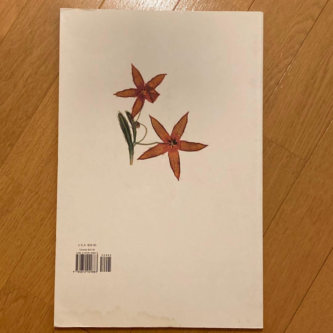 アート・デザイン・音楽 FLORA by Nick Knight