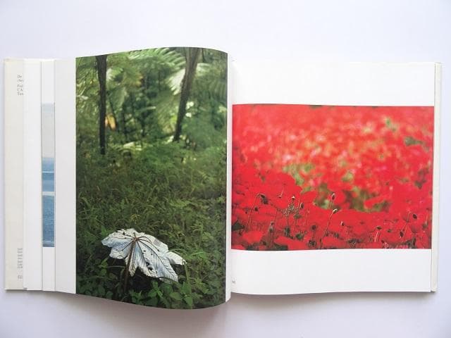 洋書◆フルヴィオ・ロイテル アート写真作品集 本 カメラ