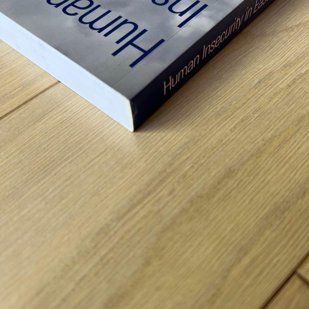 洋書 Human Insecurity in East Asia