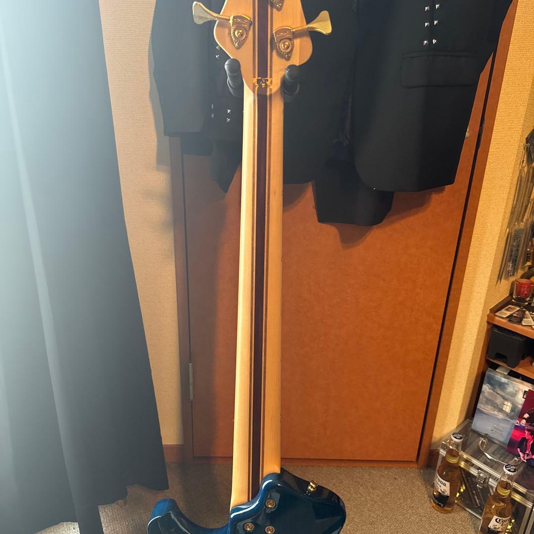 【タイムセール中‼️】ESP STREAM-CTM-SL5 Marine Blue