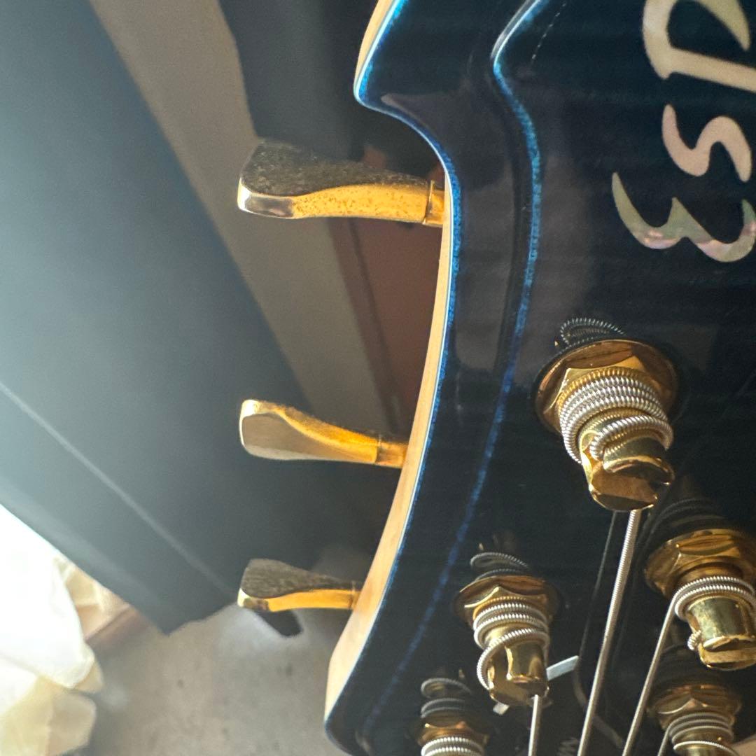 【タイムセール中‼️】ESP STREAM-CTM-SL5 Marine Blue