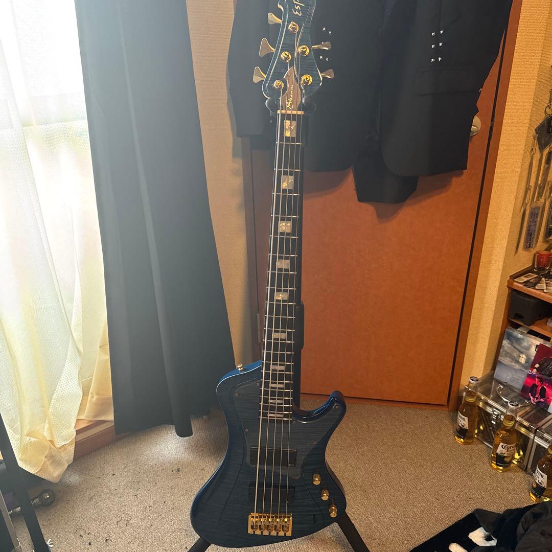 【タイムセール中‼️】ESP STREAM-CTM-SL5 Marine Blue