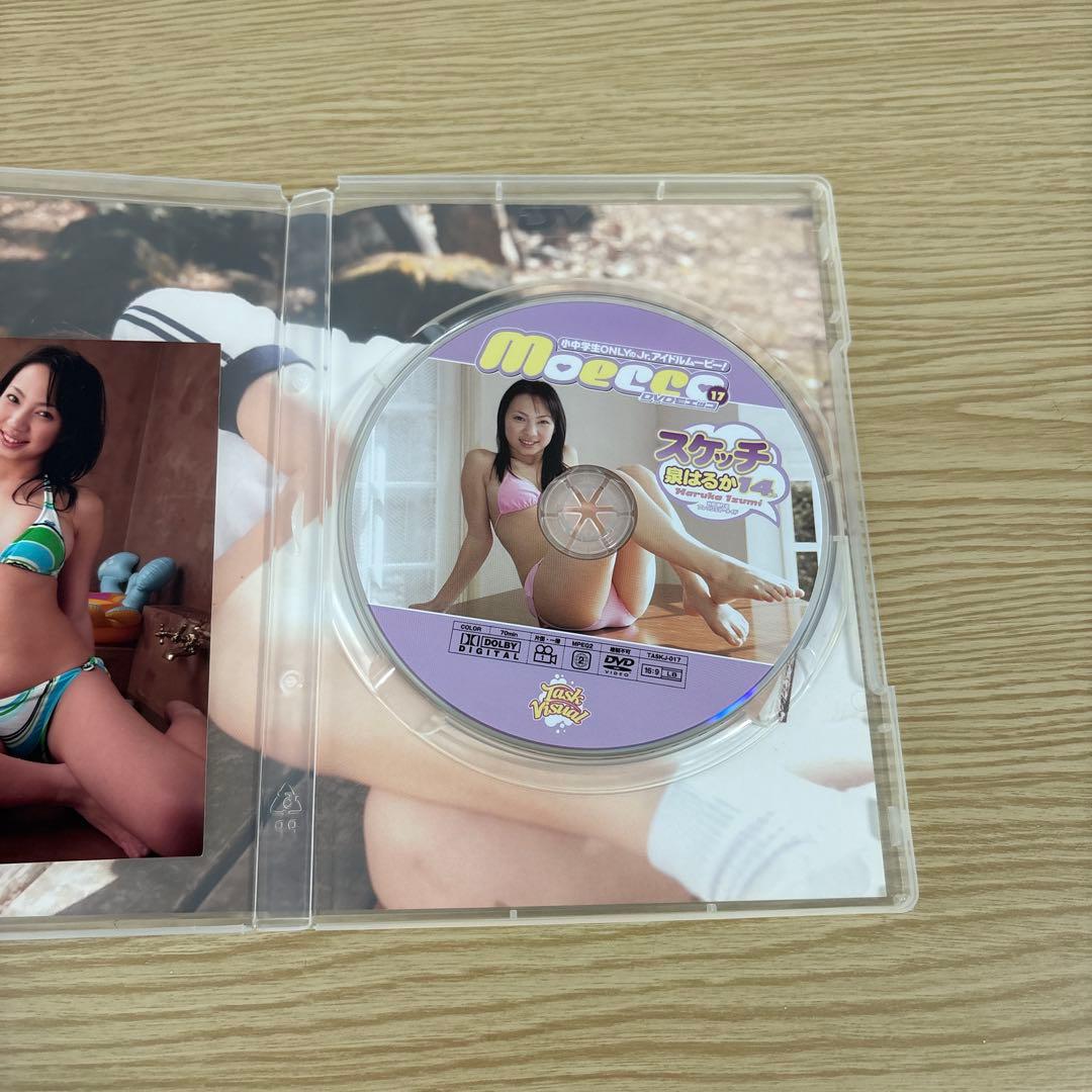 泉はるか スケッチ DVD ほぼ新品に近い 貴重 アイドル タレント