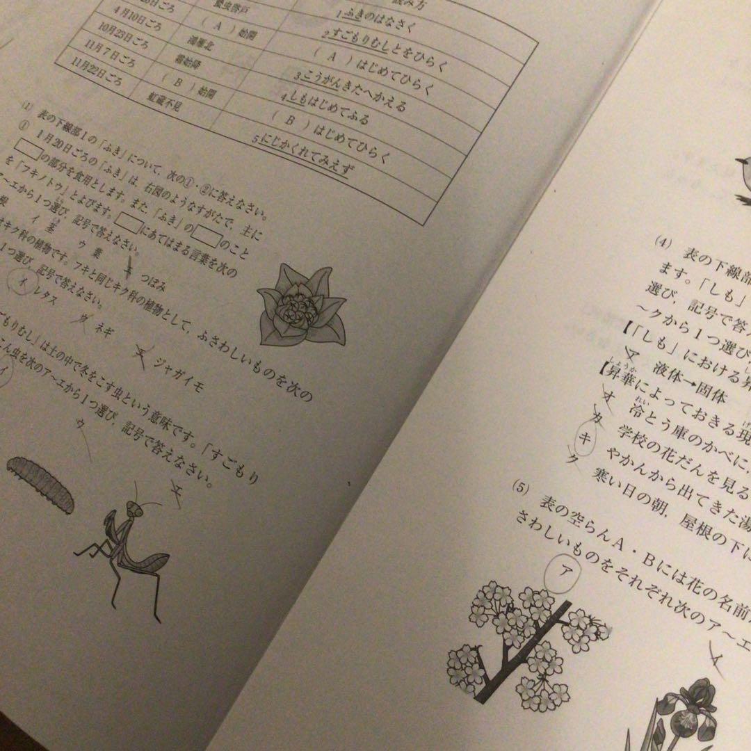 サピックス　新5年（現4年) 新学年入室・組分けテスト　原本　2020年1月