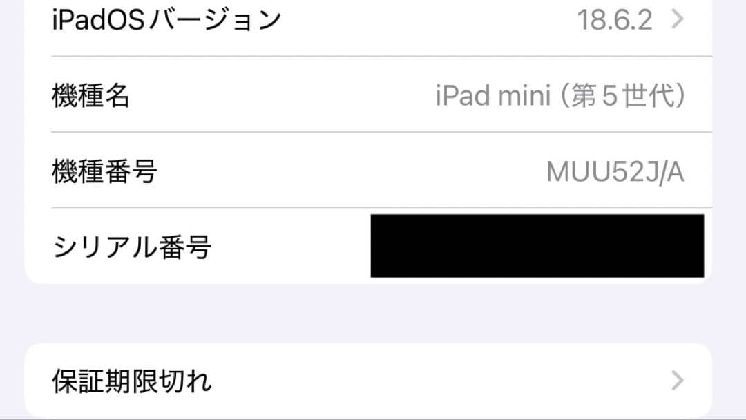 iPad mini 5 WiFi モデル 256GB シルバー