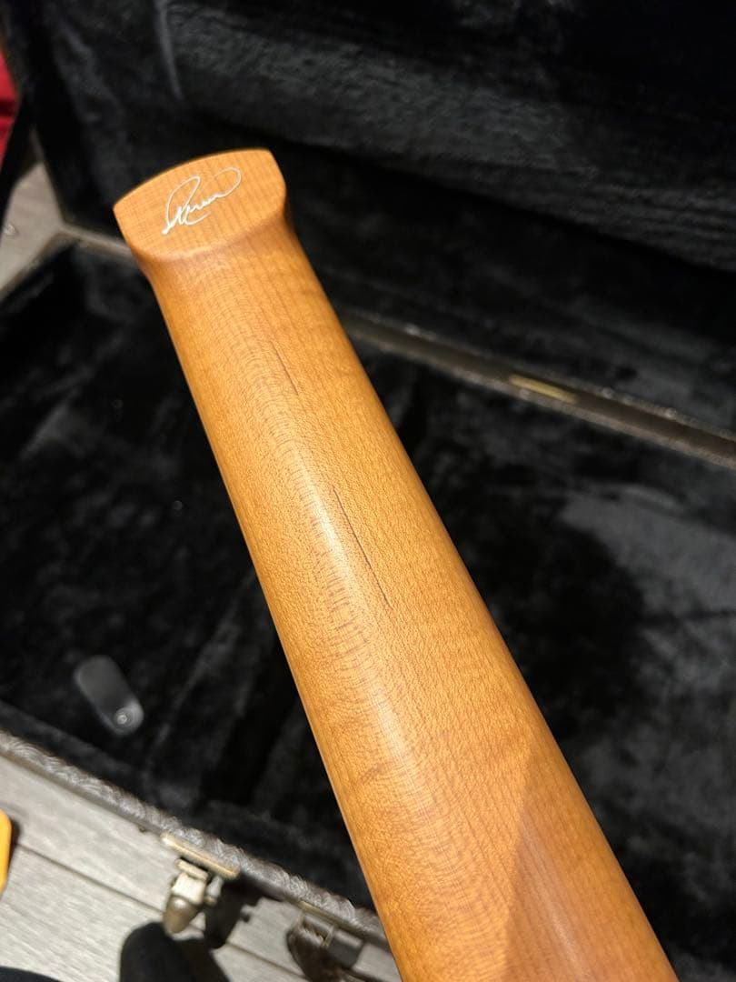 Acacia guitars MEDUSA 7弦ヘッドレス