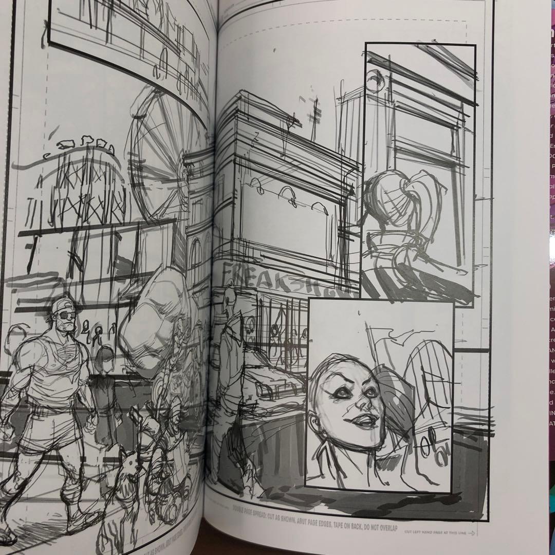 HARLEY QUINN Omnibus Volume One (洋書)