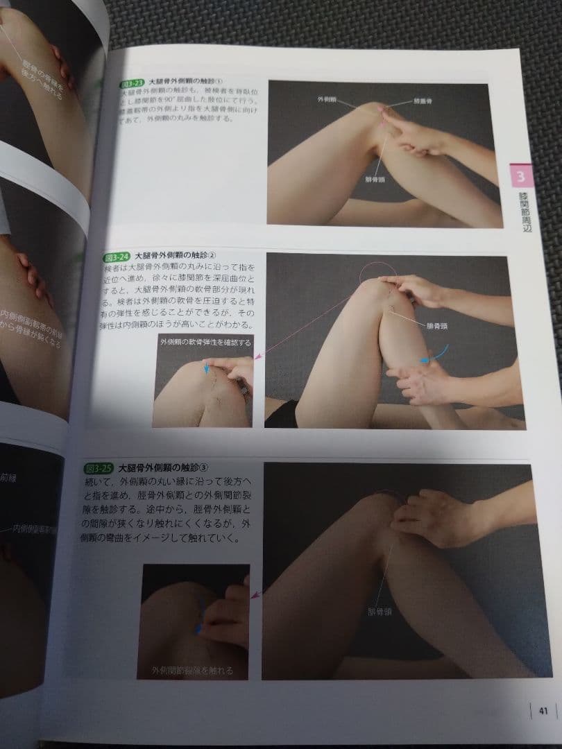 運動療法の為触診技術上肢下肢2冊送料無料　即購入可　即配送　匿名配送　理学療法