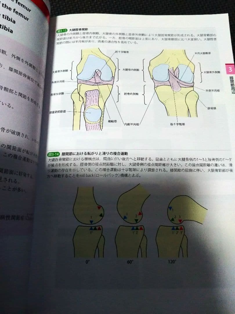 運動療法の為触診技術上肢下肢2冊送料無料　即購入可　即配送　匿名配送　理学療法