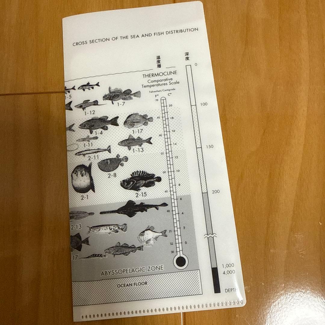極美品　完全生産限定盤プレミアムBOX魚大図鑑 Book of Fishes