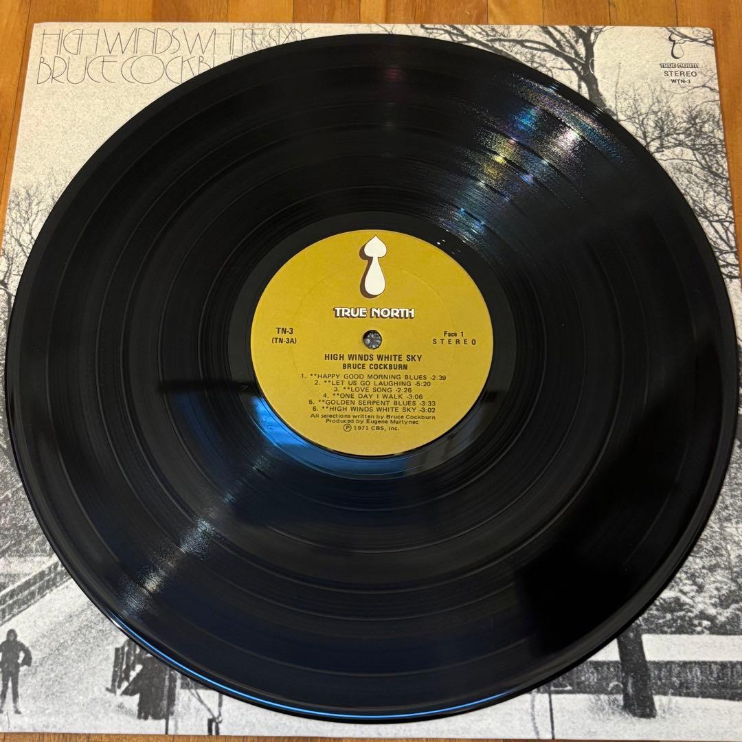 レコード SSW名盤 Bruce Cockburn フォーク レアグルーヴ LP