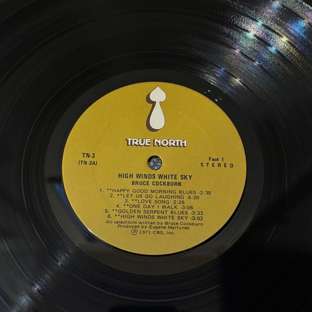 レコード SSW名盤 Bruce Cockburn フォーク レアグルーヴ LP