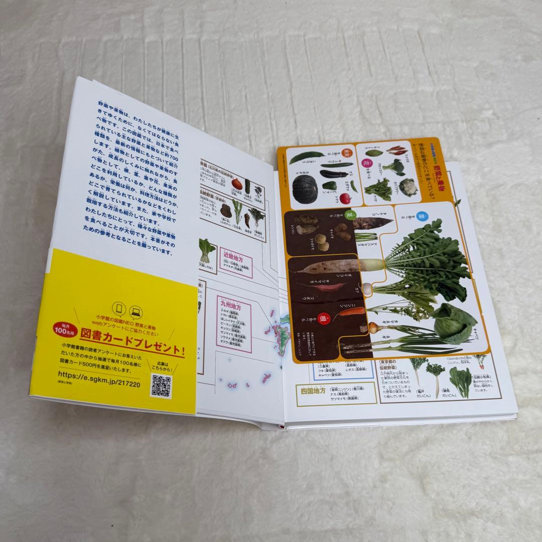 【良品・カバーあり】小学館の図鑑NEO 全巻20冊セット