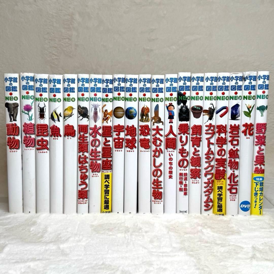 【良品・カバーあり】小学館の図鑑NEO 全巻20冊セット