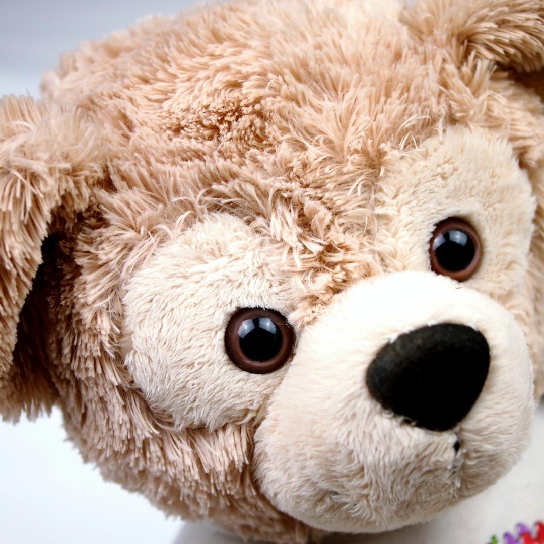 K*U様 ダッフィー　ぬいぐるみ　DUFFY The Disney Bear
