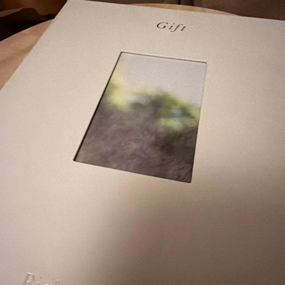 アート・デザイン・音楽 Rinko Kawauchi / Terri Weifenbach: Gift