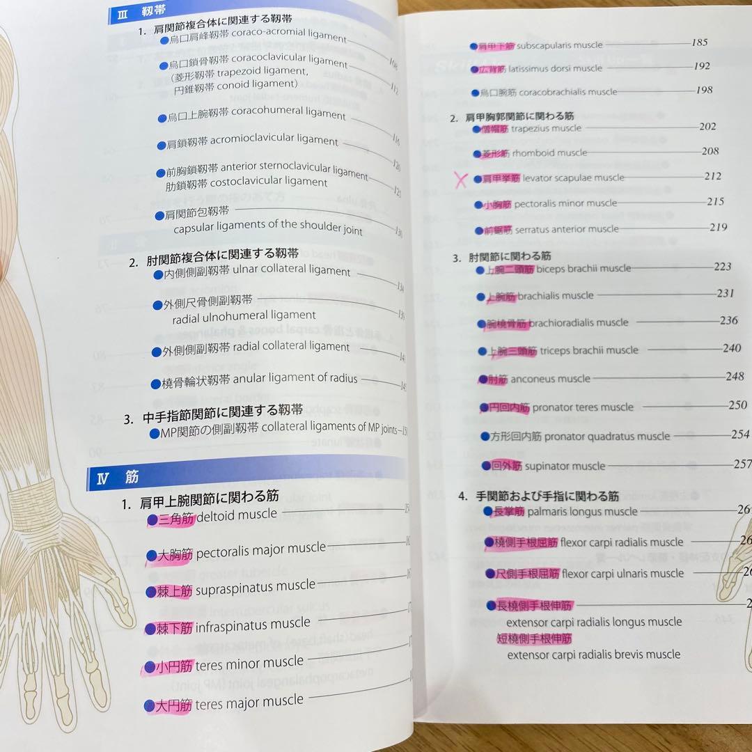 【2冊セット】機能解剖学的触診技術 改訂第2版