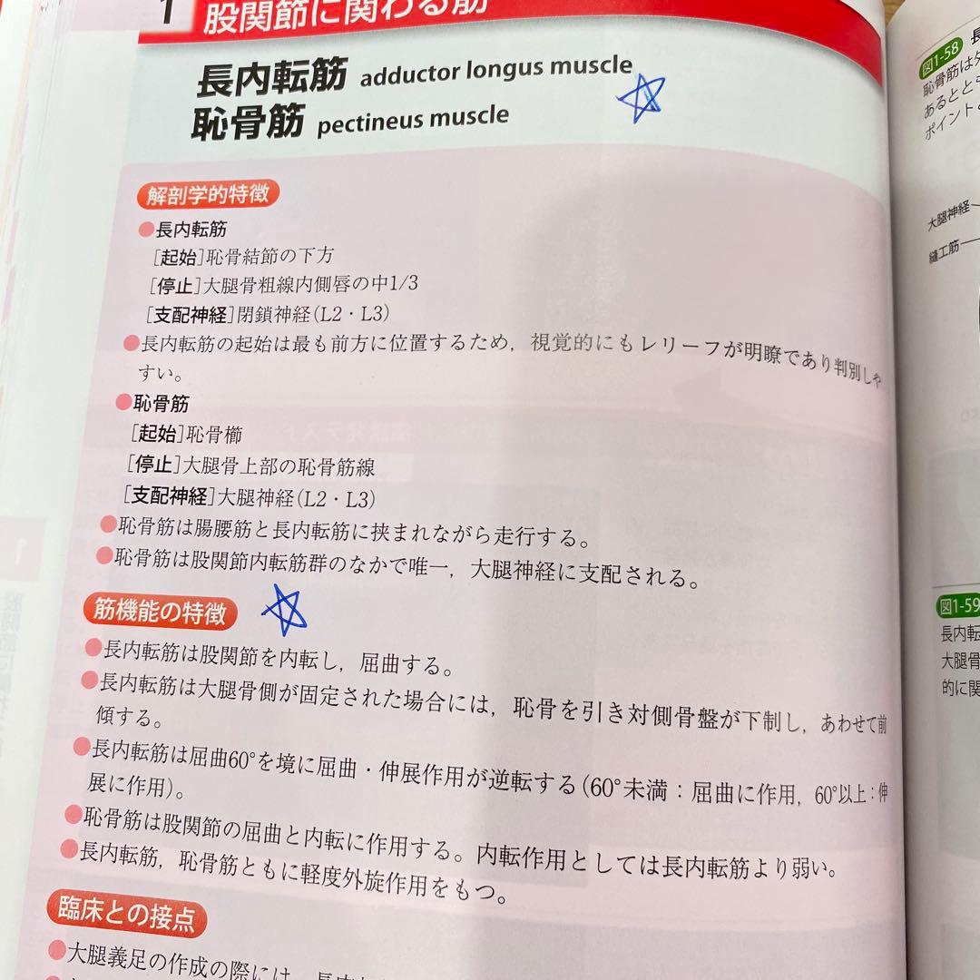 【2冊セット】機能解剖学的触診技術 改訂第2版