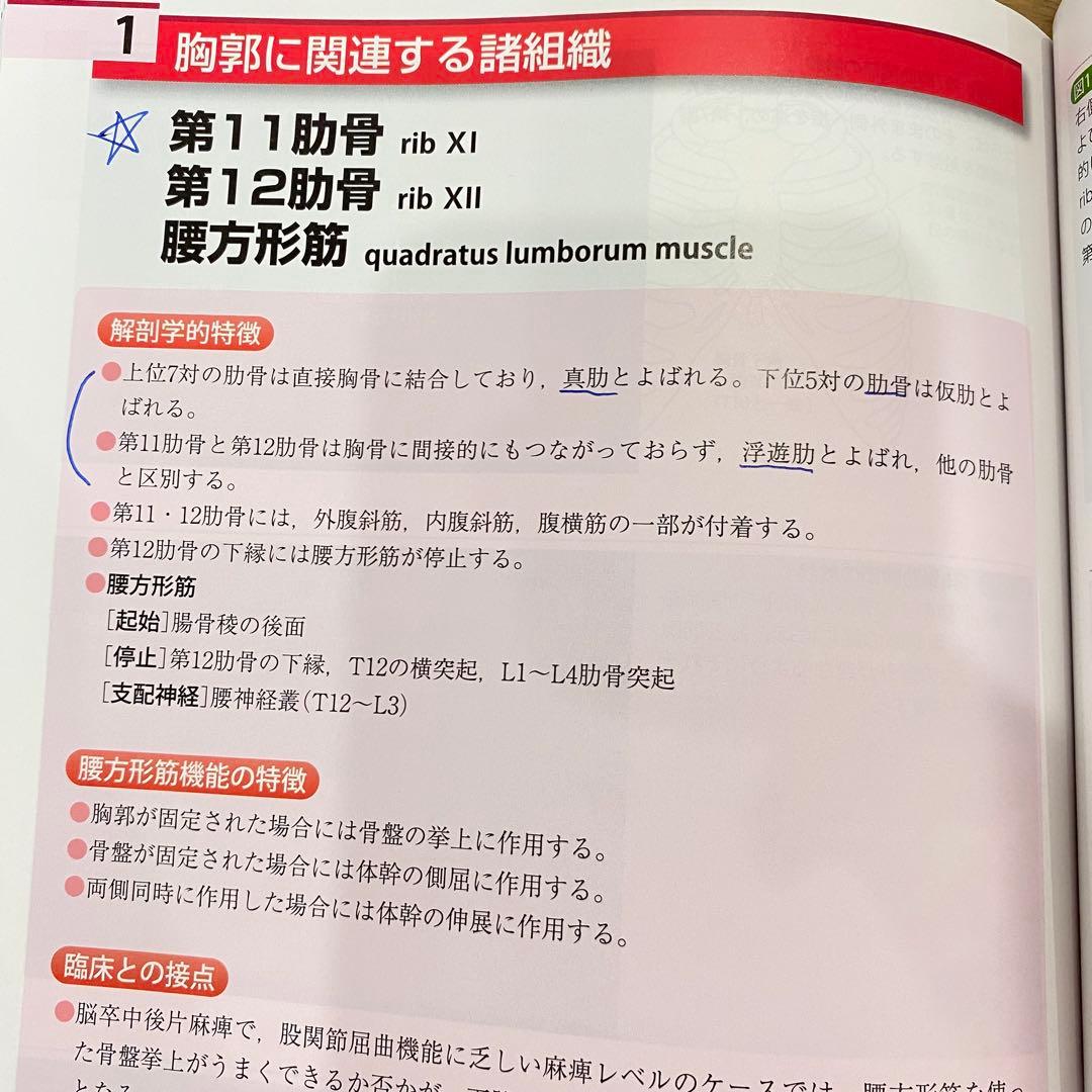 【2冊セット】機能解剖学的触診技術 改訂第2版