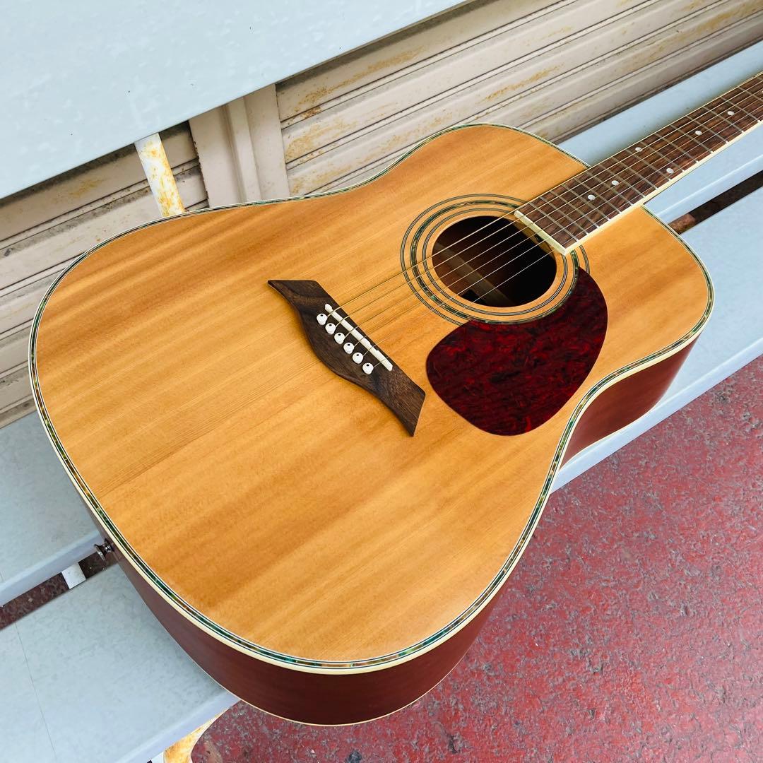 Elioth B305NS アコースティックギター アコギ ギターケース付