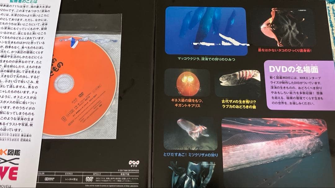【MOVE図鑑】16冊セット 計16枚DVD動作確認済み！！1冊1100円