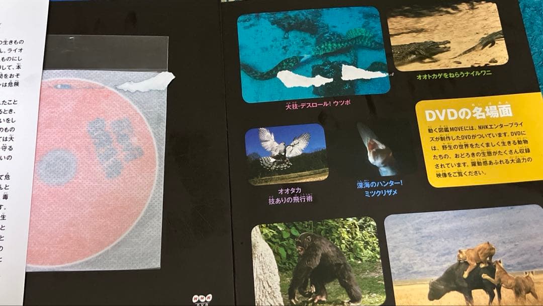 【MOVE図鑑】16冊セット 計16枚DVD動作確認済み！！1冊1100円
