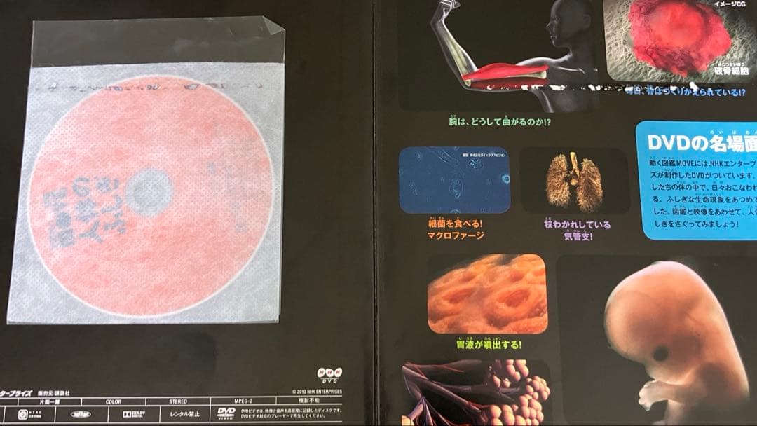 【MOVE図鑑】16冊セット 計16枚DVD動作確認済み！！1冊1100円
