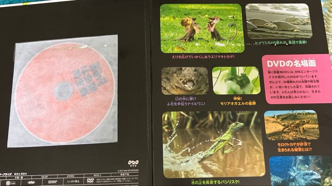 【MOVE図鑑】16冊セット 計16枚DVD動作確認済み！！1冊1100円