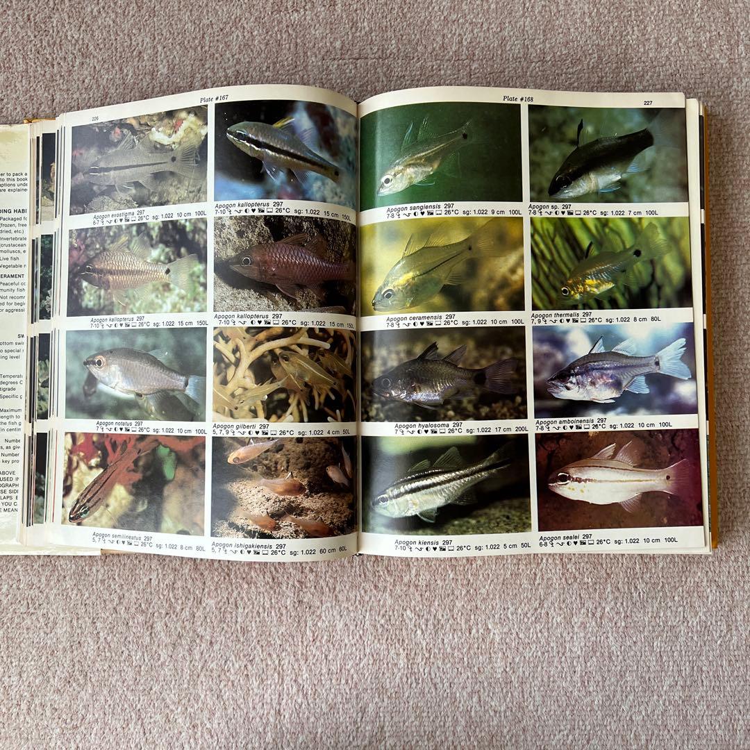 洋書　Dr. Burgess's Atlas of 海水魚　大型本