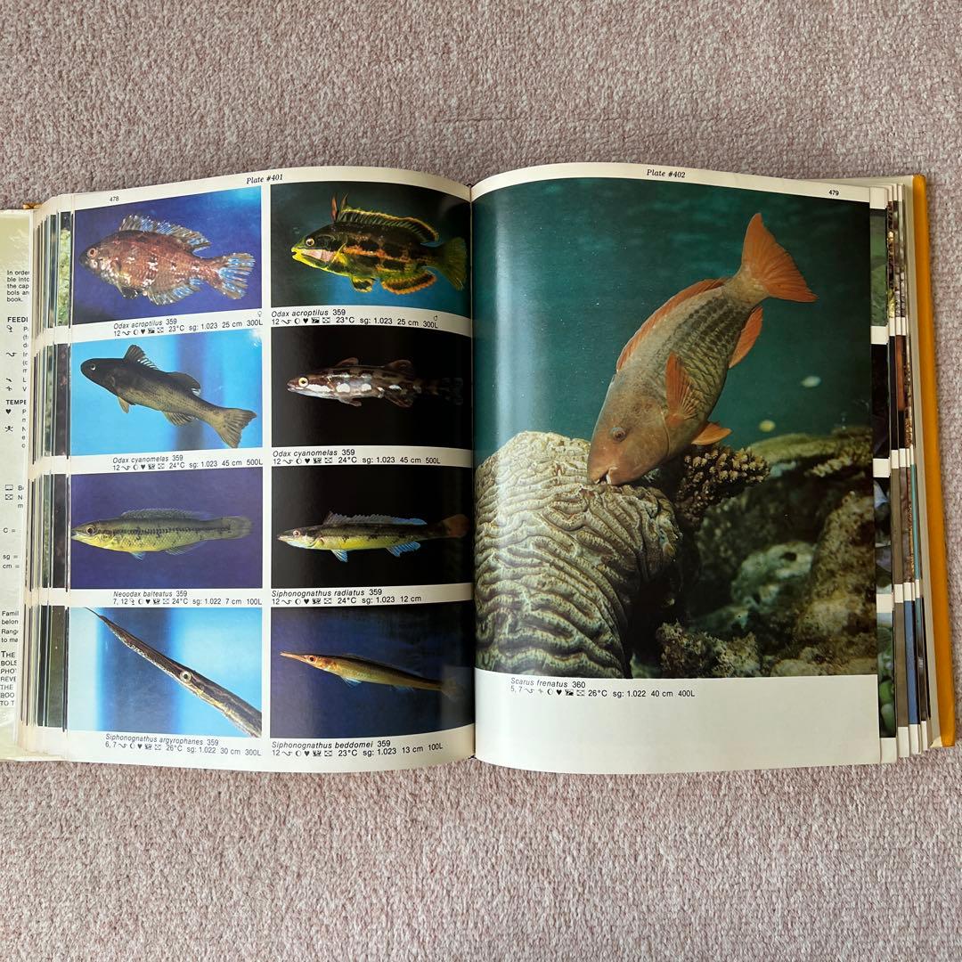 洋書　Dr. Burgess's Atlas of 海水魚　大型本