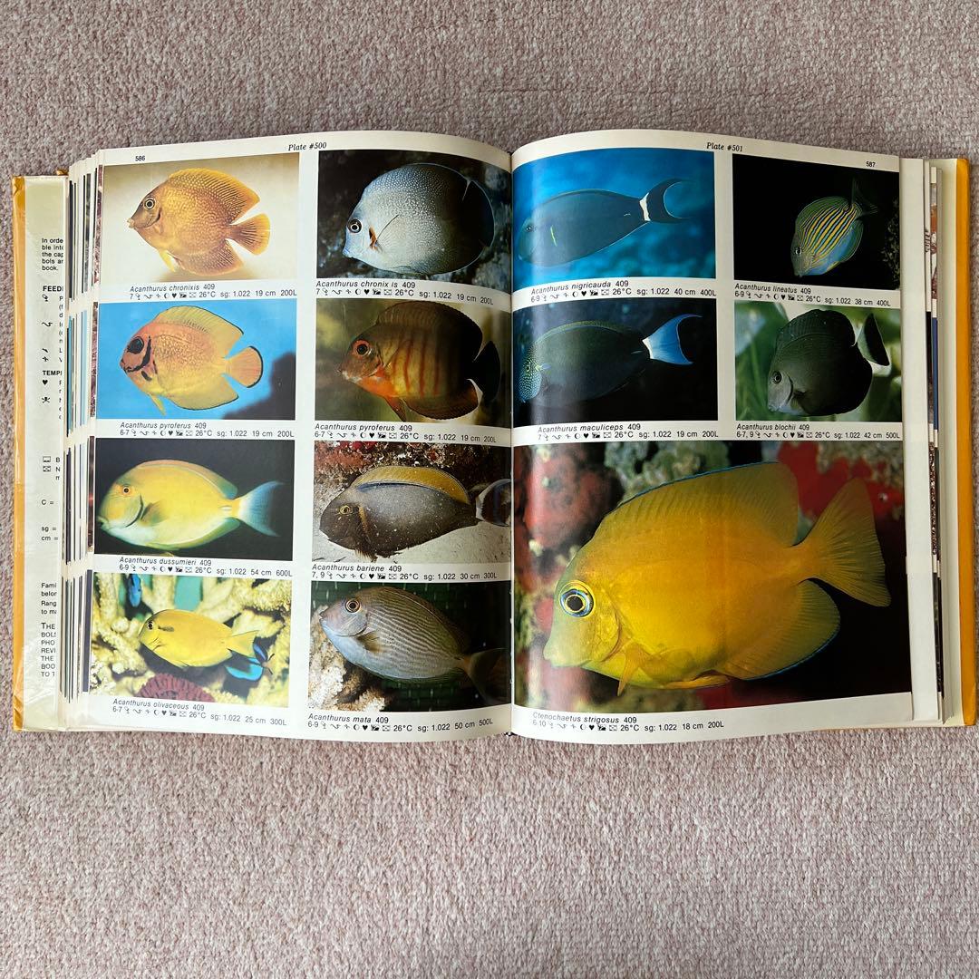 洋書　Dr. Burgess's Atlas of 海水魚　大型本